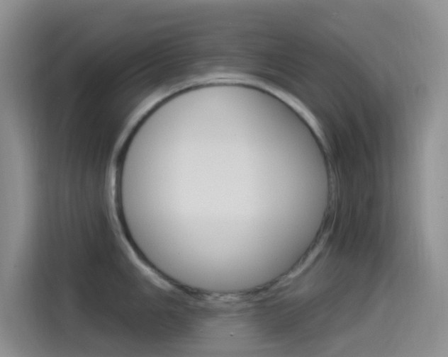 X0000114491006200910191113