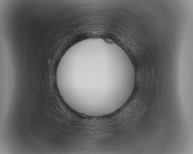 X0000114491009200910191112
