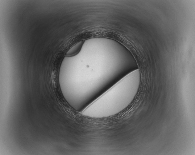X0000114491010200910191112