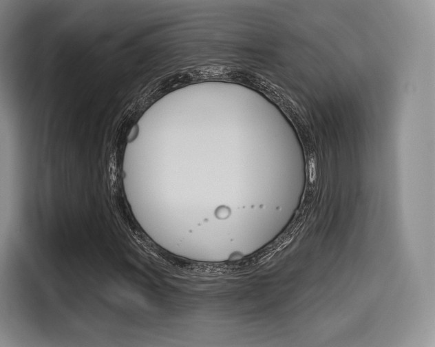 X0000114491011200910191112