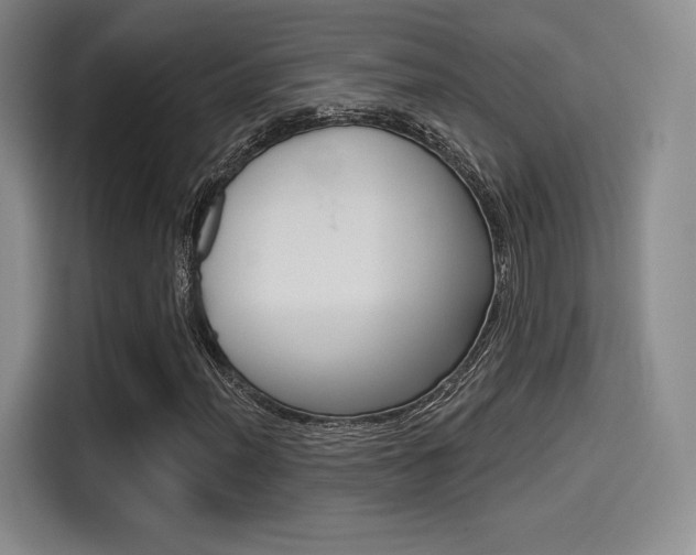 X0000114491012200910191112
