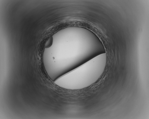 X0000114491013200910191112