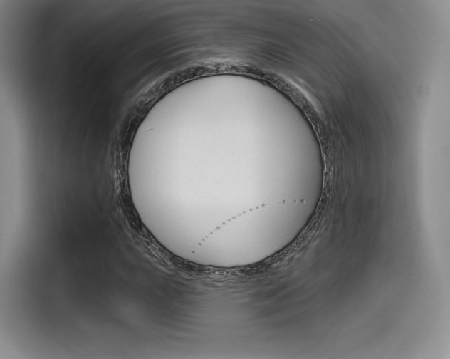 X0000114491015200910191112