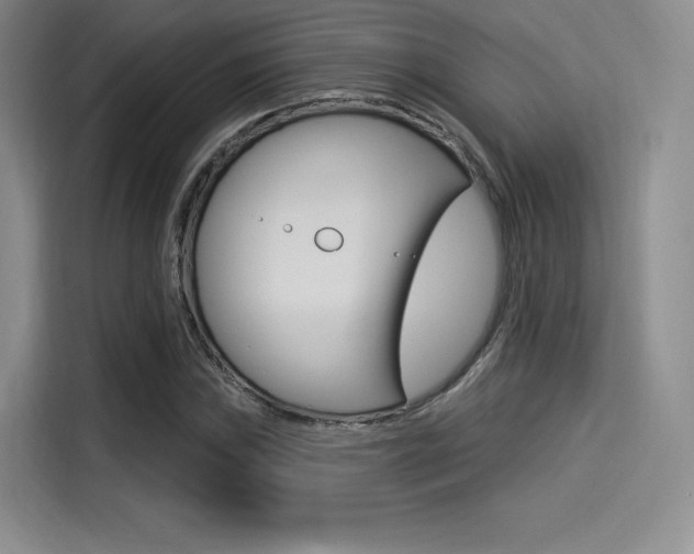 X0000114491019200910191112