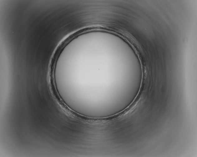 X0000114491020200910191112