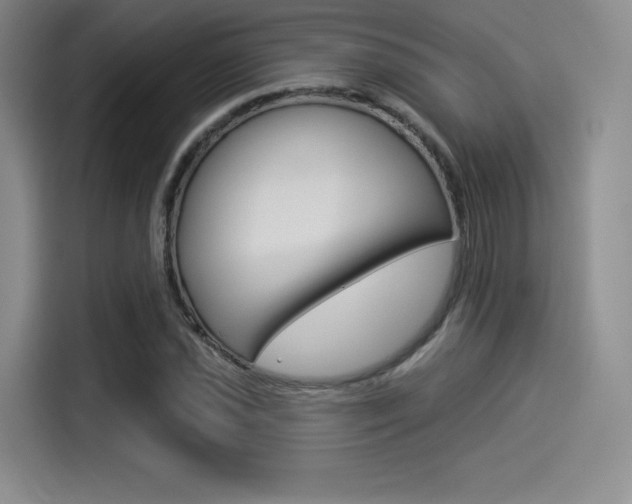 X0000114491021200910191112