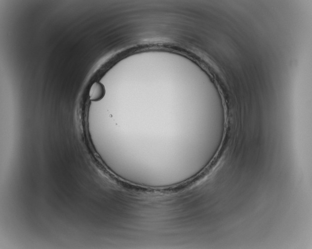 X0000114491022200910191112