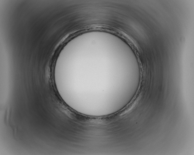 X0000114491023200910191112