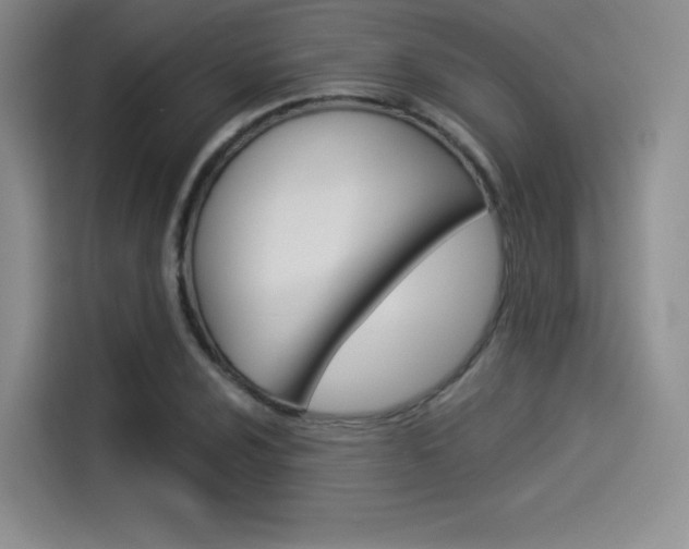 X0000114491024200910191112