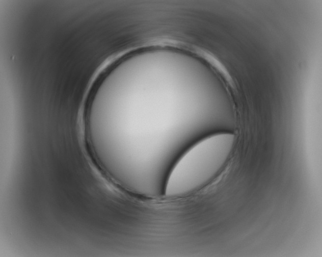 X0000114491032200910191112