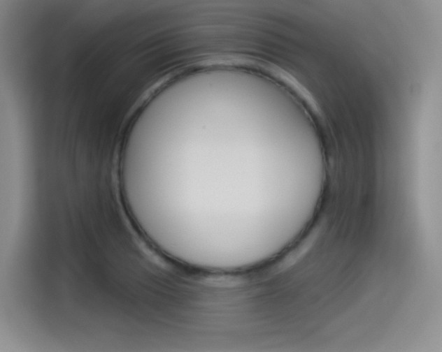 X0000114491033200910191112