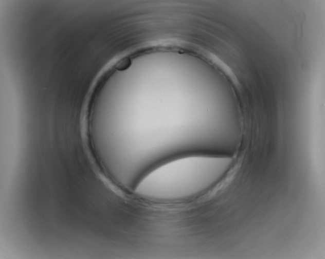 X0000114491037200910191112