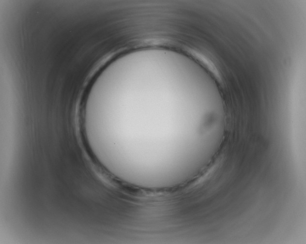 X0000114491039200910191112