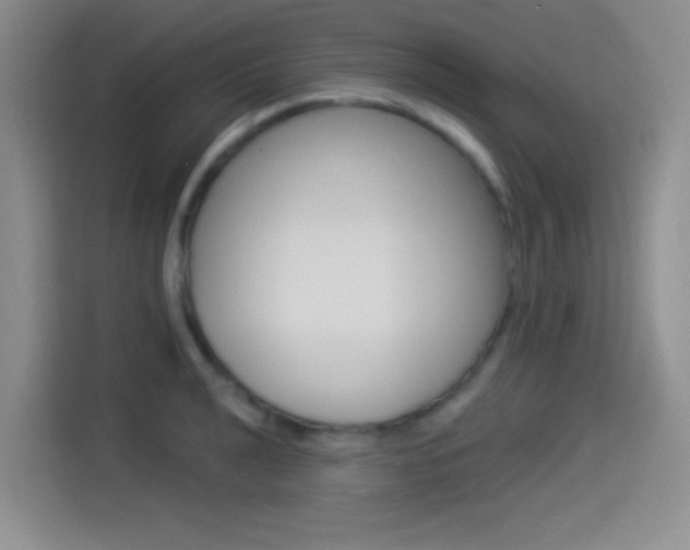 X0000114491040200910191112