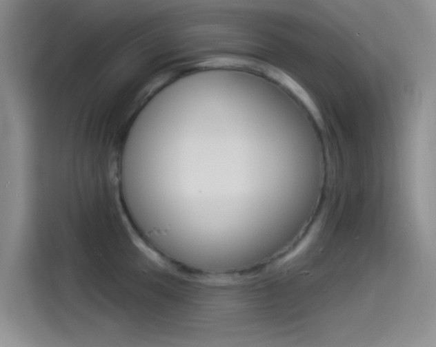 X0000114491049200910191113