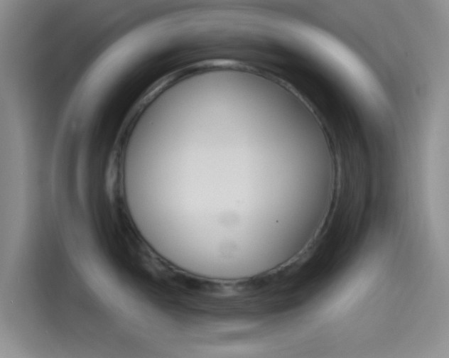 X0000114491052200910191113