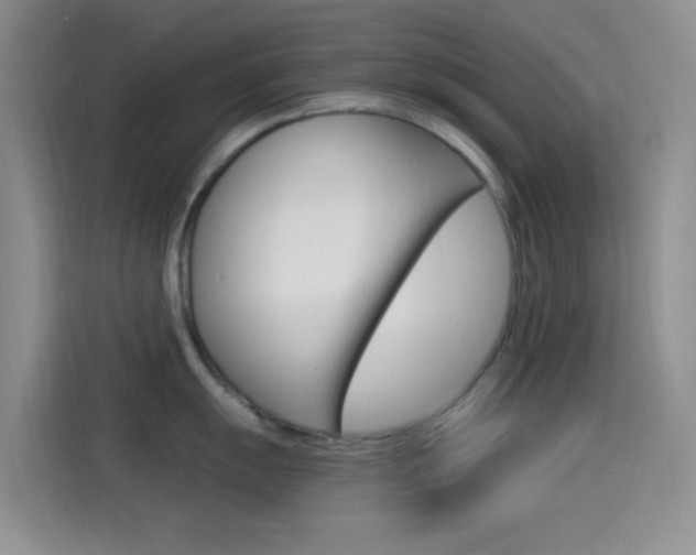 X0000114491055200910191113