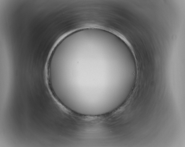 X0000114491056200910191113