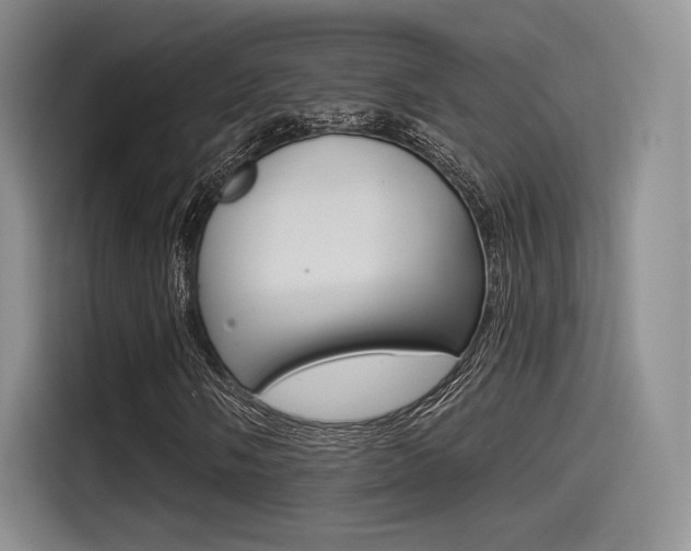 X0000114491058200910191112
