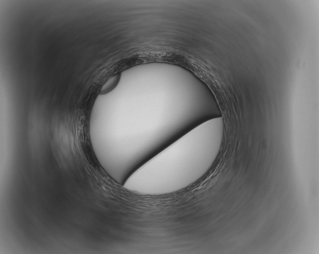 X0000114491059200910191112