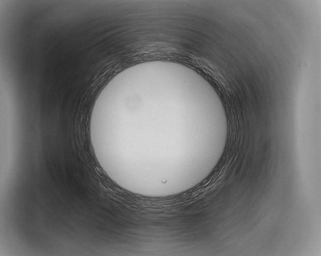X0000114491060200910191112