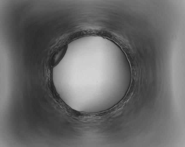 X0000114491061200910191112