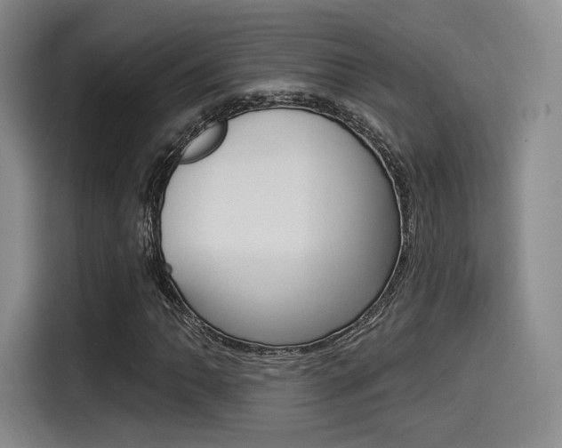 X0000114491062200910191112
