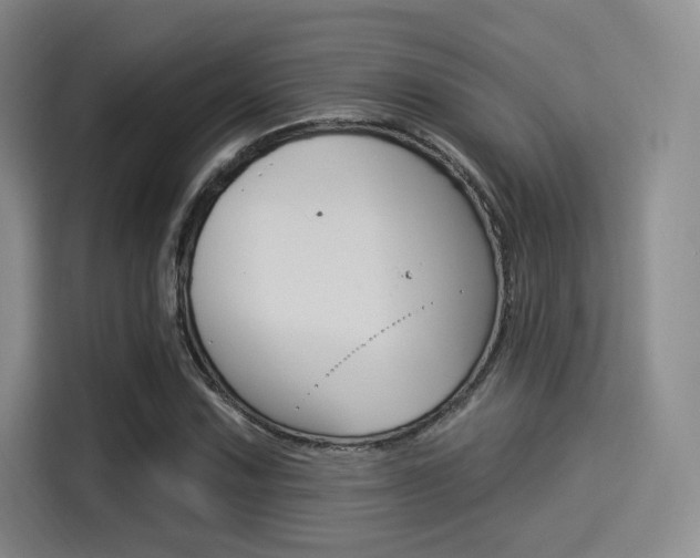 X0000114491067200910191112