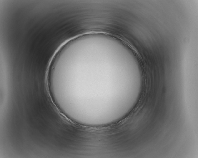 X0000114491068200910191112