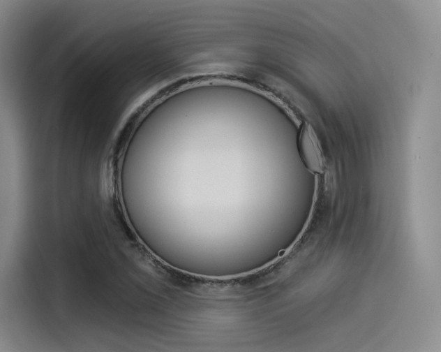X0000114491069200910191112