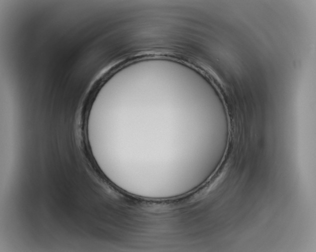 X0000114491071200910191112
