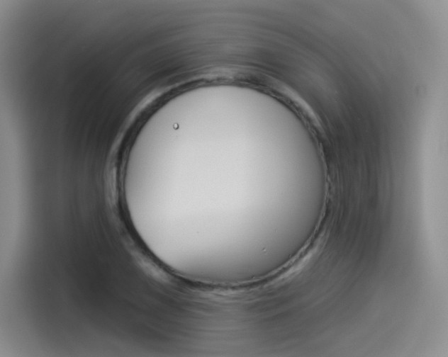 X0000114491075200910191112