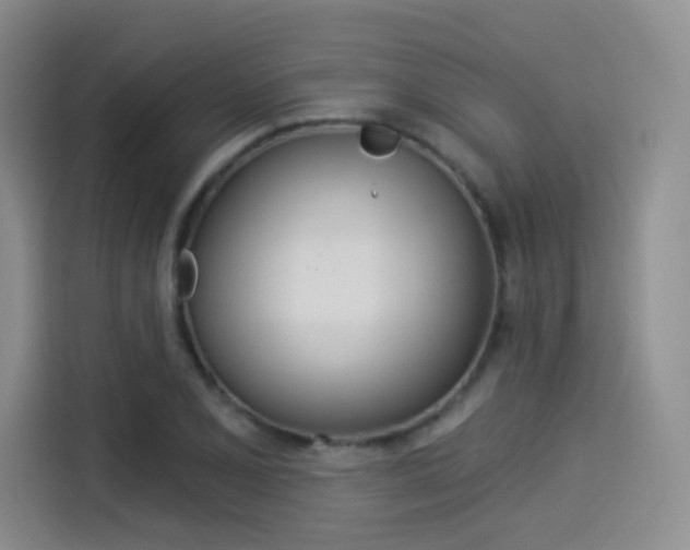 X0000114491077200910191112