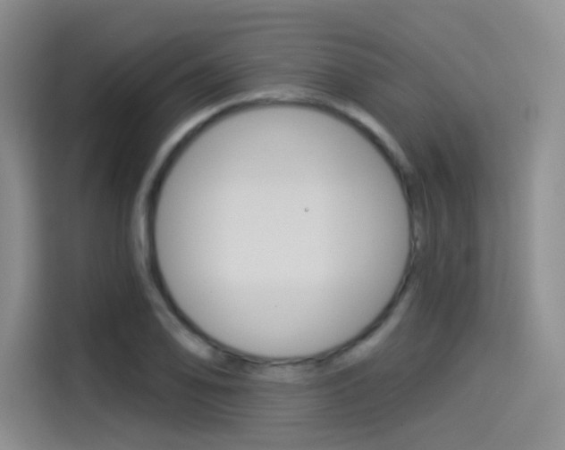 X0000114491078200910191112