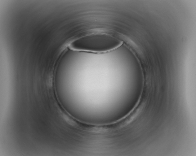 X0000114491081200910191112