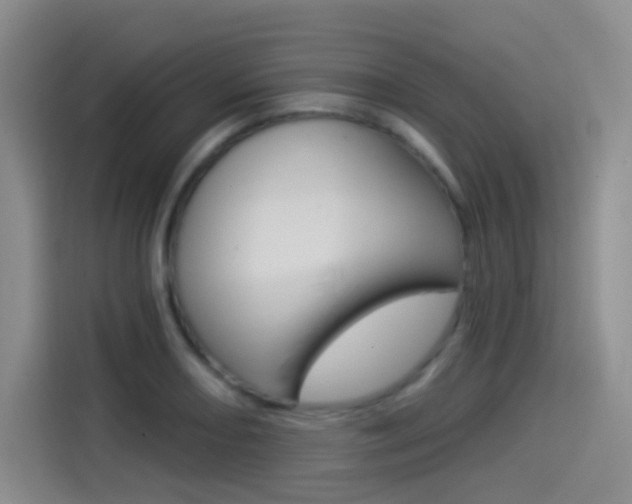 X0000114491082200910191112