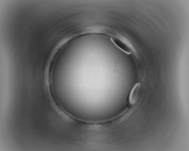 X0000114491088200910191112