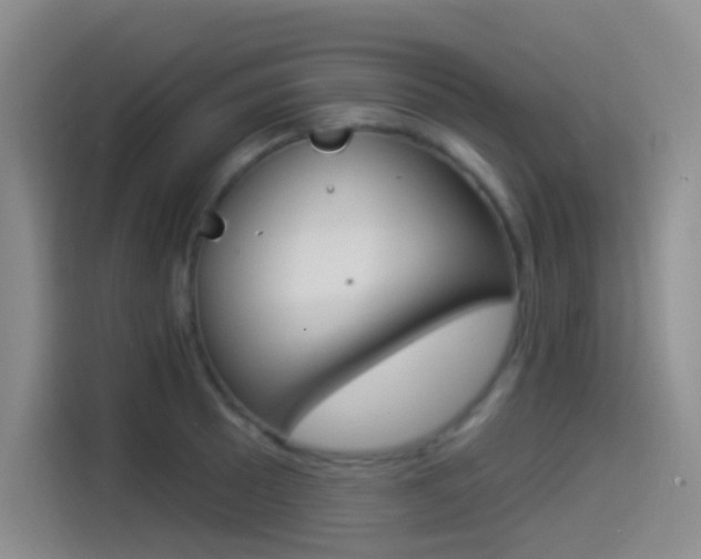 X0000114491089200910191112