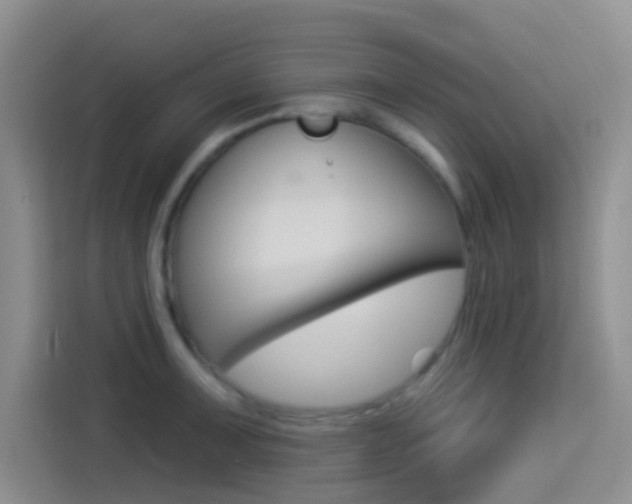 X0000114491091200910191112