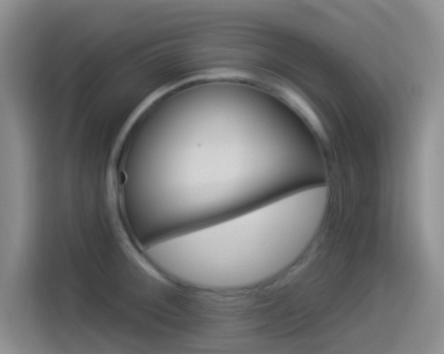 X0000114491092200910191112