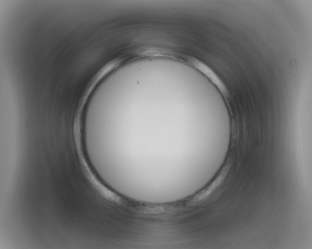 X0000114491098200910191111