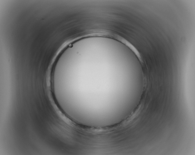 X0000114491099200910191111