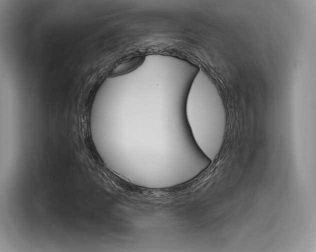 X0000114491109200910191111