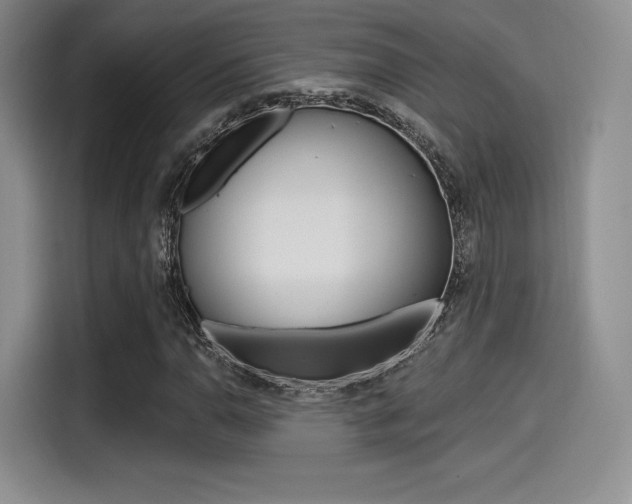 X0000114491110200910191111