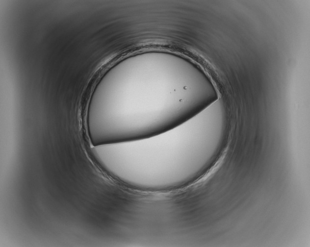 X0000114491113200910191111