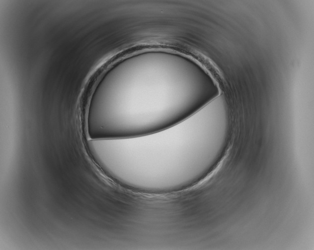 X0000114491114200910191111