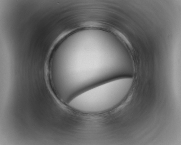 X0000114491133200910191111