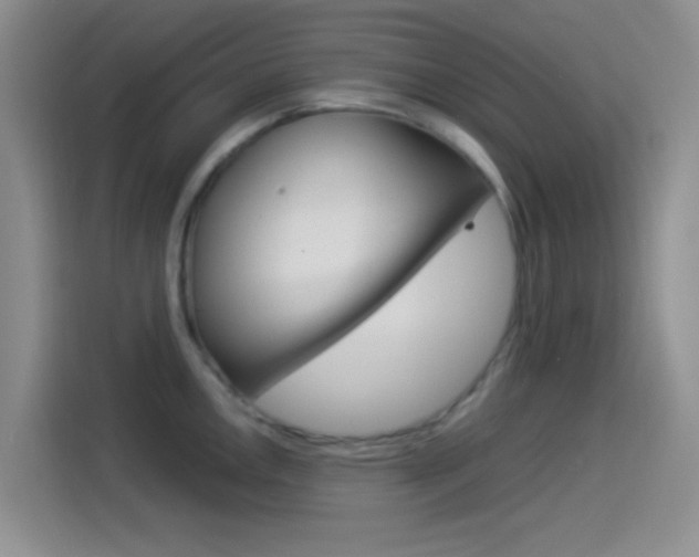 X0000114491146200910191111