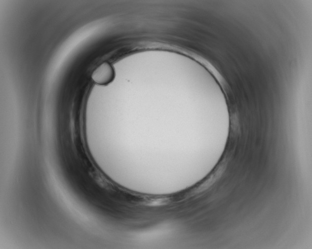X0000114491150200910191111