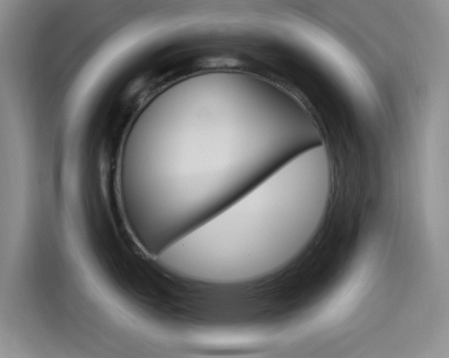 X0000114491151200910191111
